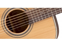 Takamine GD20-NS Takamine GD20-NS